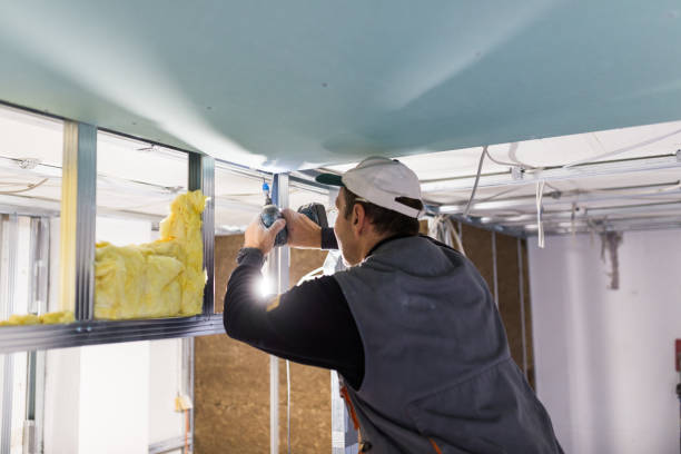 Best Insulation Installation Services in Woodlawn, MD