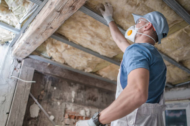 Best Commercial Insulation in Woodlawn, MD