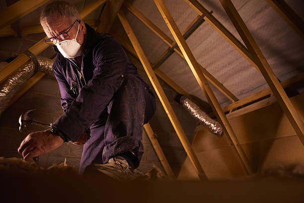 Best Energy Efficiency Solutions in Woodlawn, MD